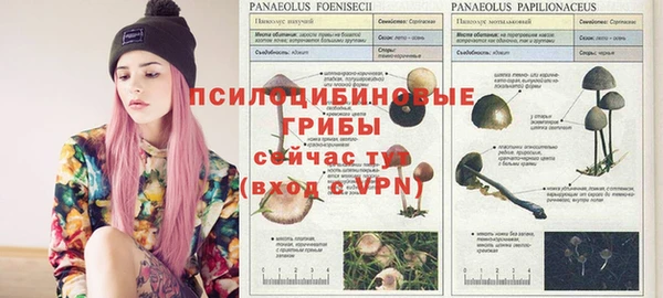 а пвп мука Бронницы