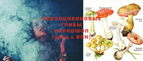 гашиш Богданович